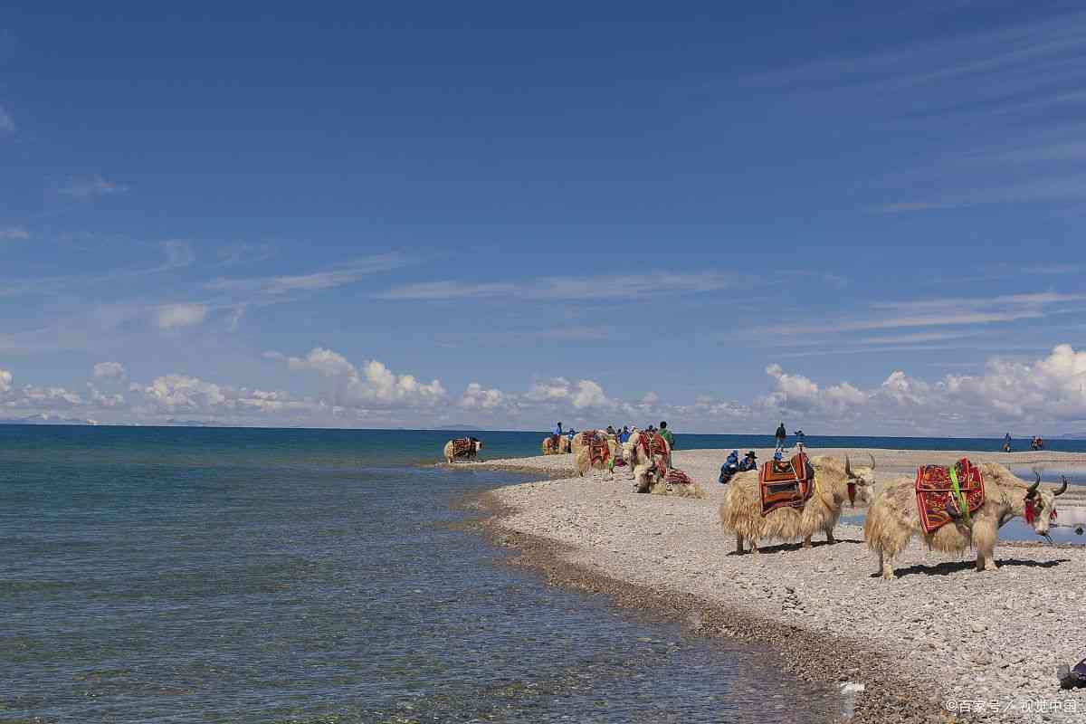 甘肃旅游团价格查询