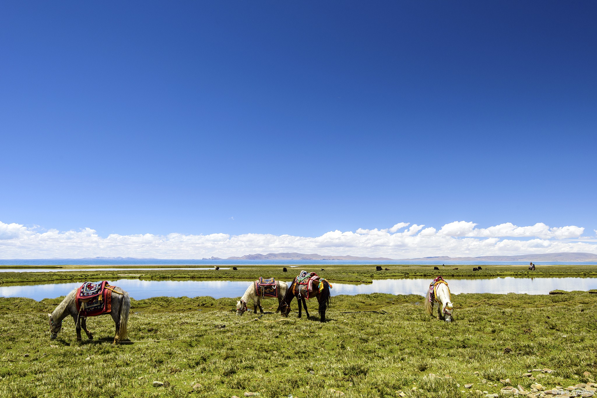 甘肃旅游团价格查询