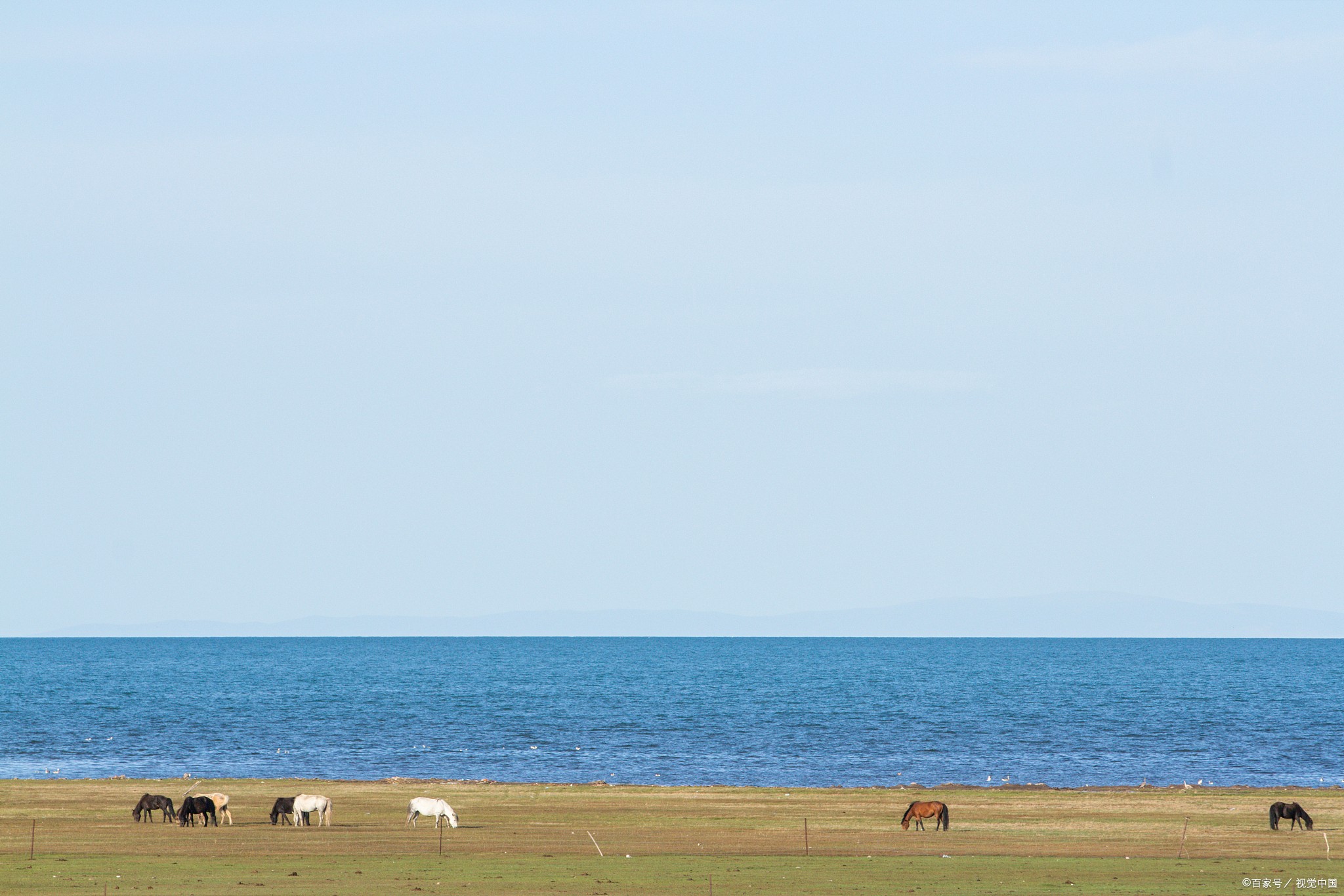 甘肃旅游团价格查询